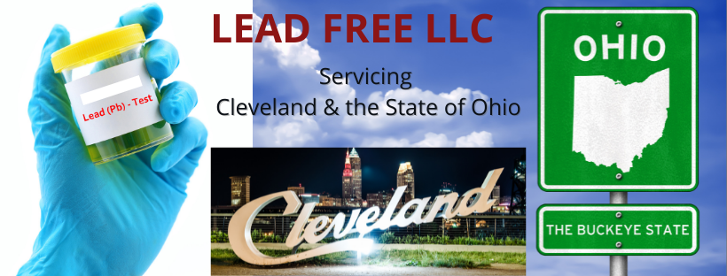 Copy of LEAD FREE LLC (1)